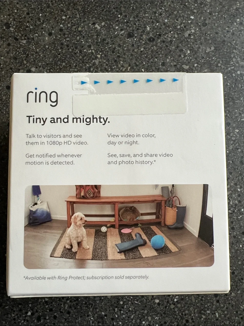Ring Indoor Cam Plug-In Security Camera — White